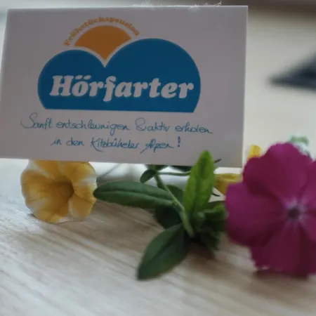 Horfarter 招待所 *